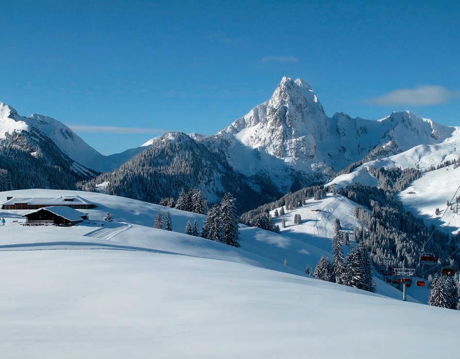 Cover for Garantiertes Schneevergnügen