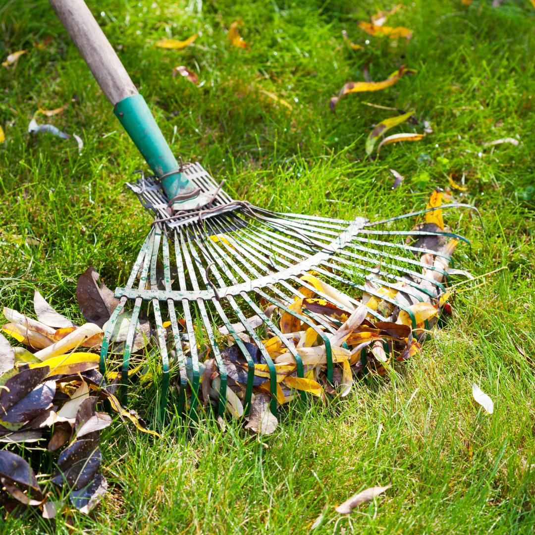 How Regular Garden Cleaning Services Can Boost Your Property Value? by