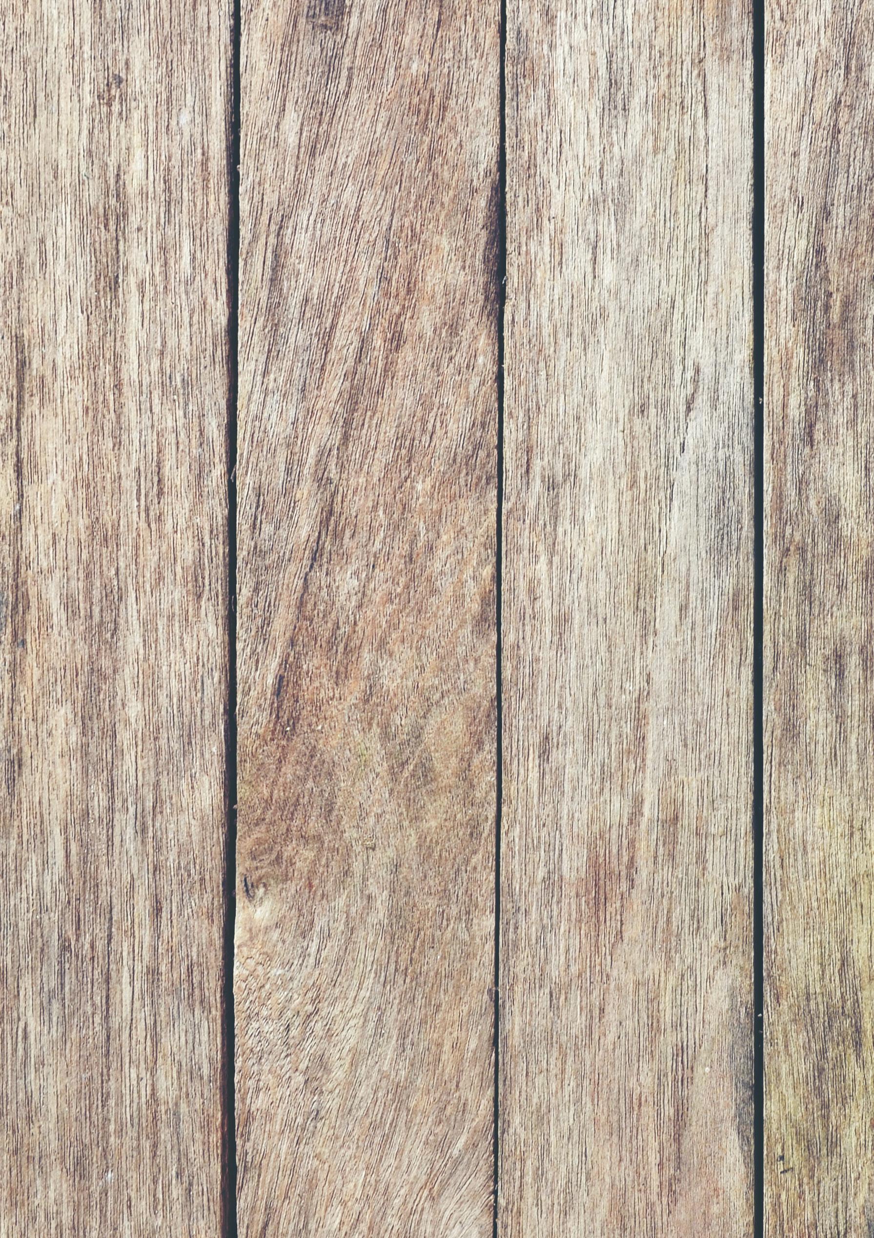 Tooraweenah Angus 2023 Bull Sale Catalogue by Angus Australia Issuu