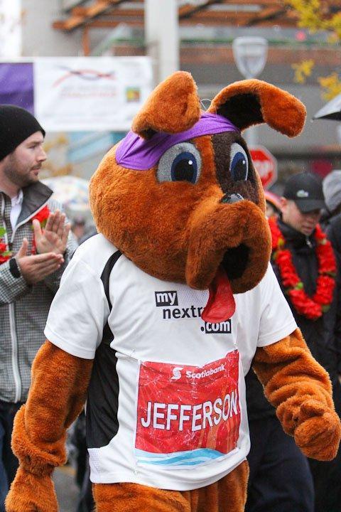 cycling tour operators