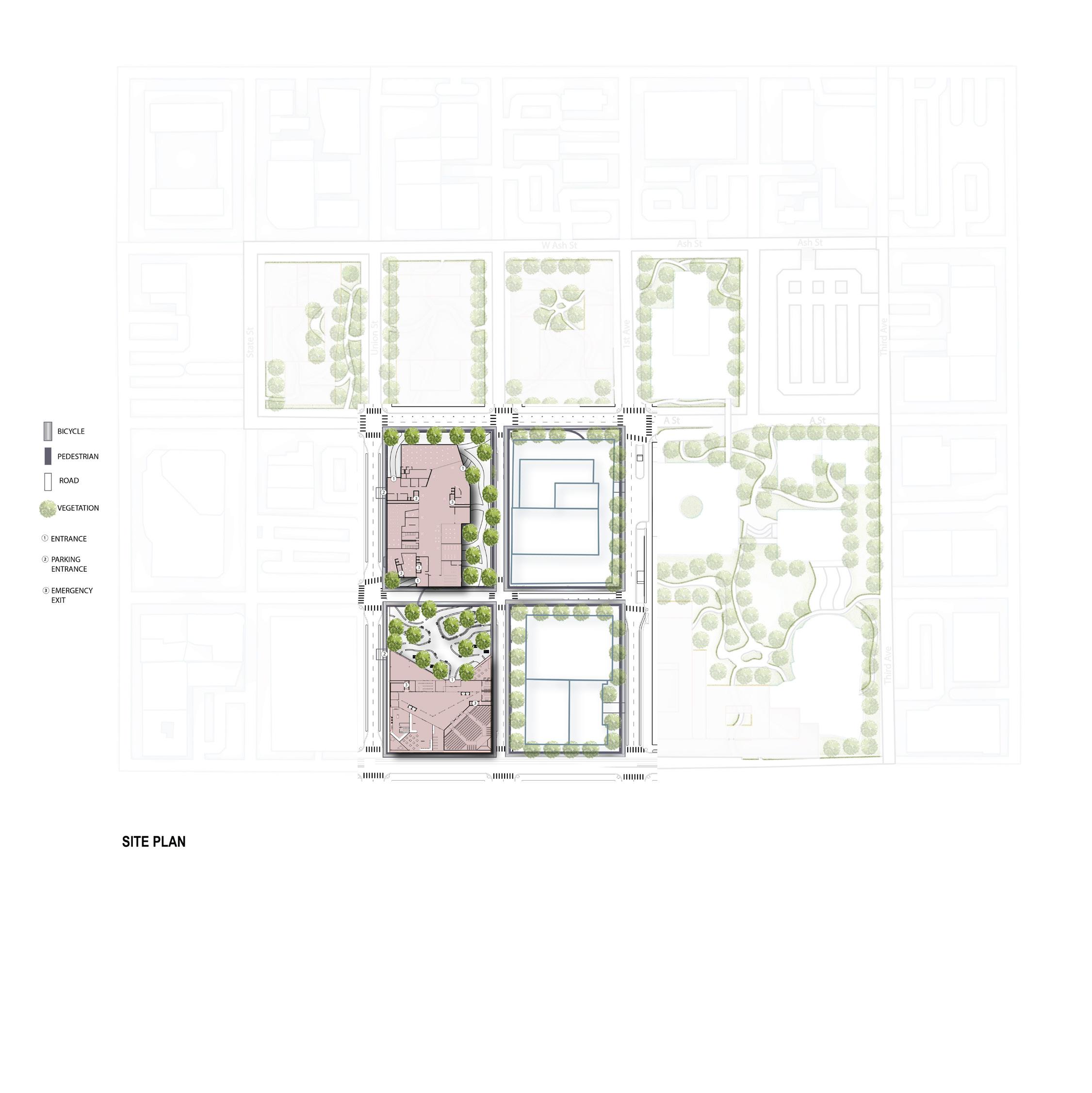 Cover for The Vision