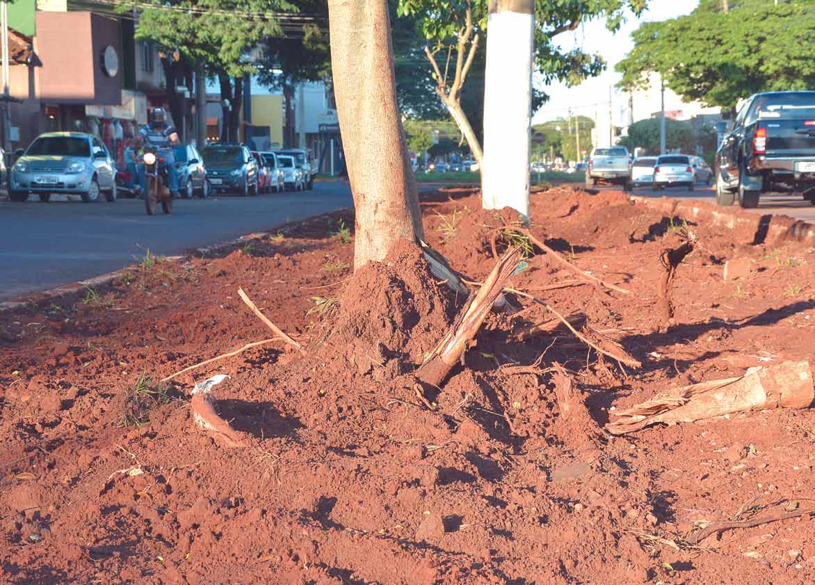 REMOVE A PEDRA - Caobianco 