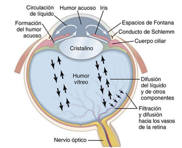 EL OJO by Nadia Zambonino - Issuu