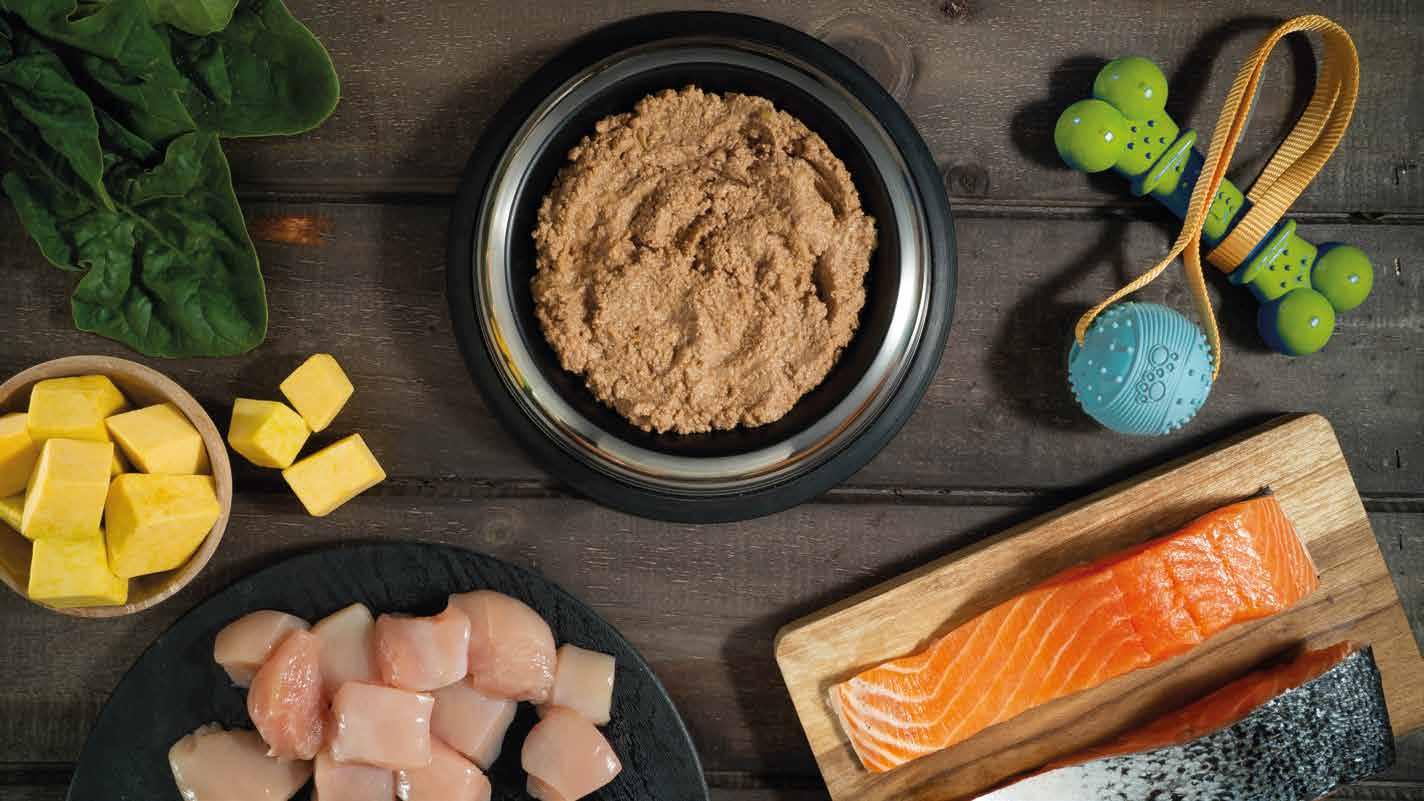 Petfood Catalog by Eurofish Issuu