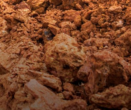 Cover for FULLY LOADED IS THE NEW STANDARD