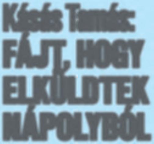 Kásás Tamás: FÁJT, HOGY ELKÜLDTEK NÁPOLYBÓL