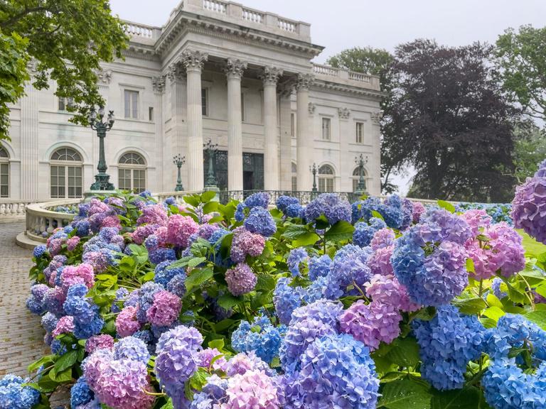 Hanley Landscaping Services 2023 Magazine by Hanley Landscaping