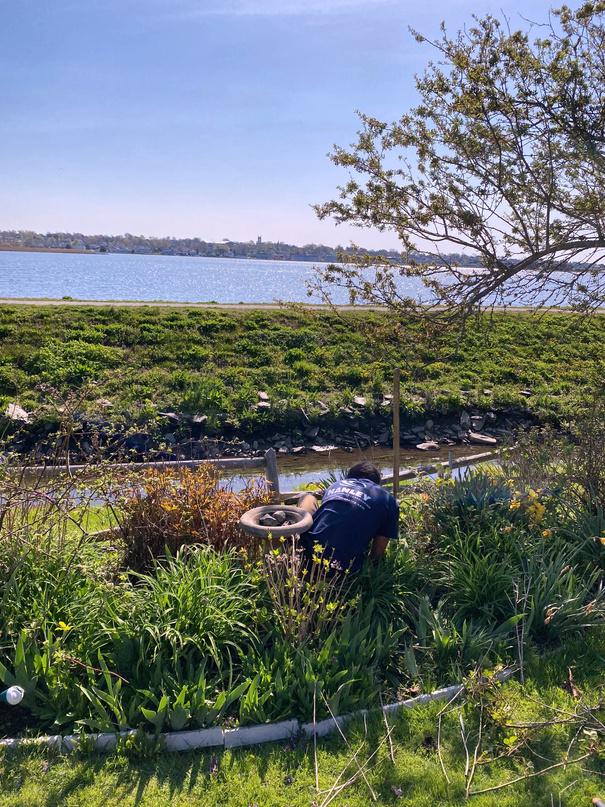 Hanley Landscaping Services 2023 Magazine by Hanley Landscaping