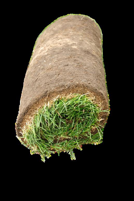 Hanley Landscaping Services 2023 Magazine by Hanley Landscaping