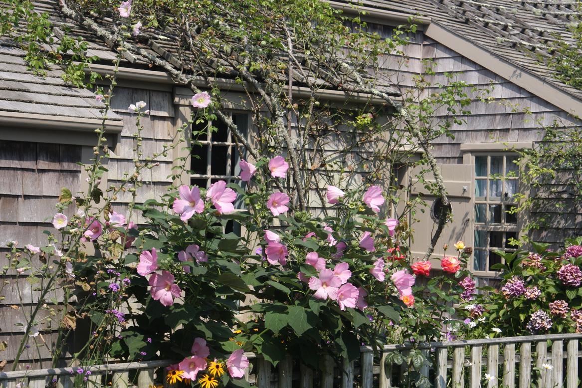 Hanley Landscaping Services 2023 Magazine by Hanley Landscaping