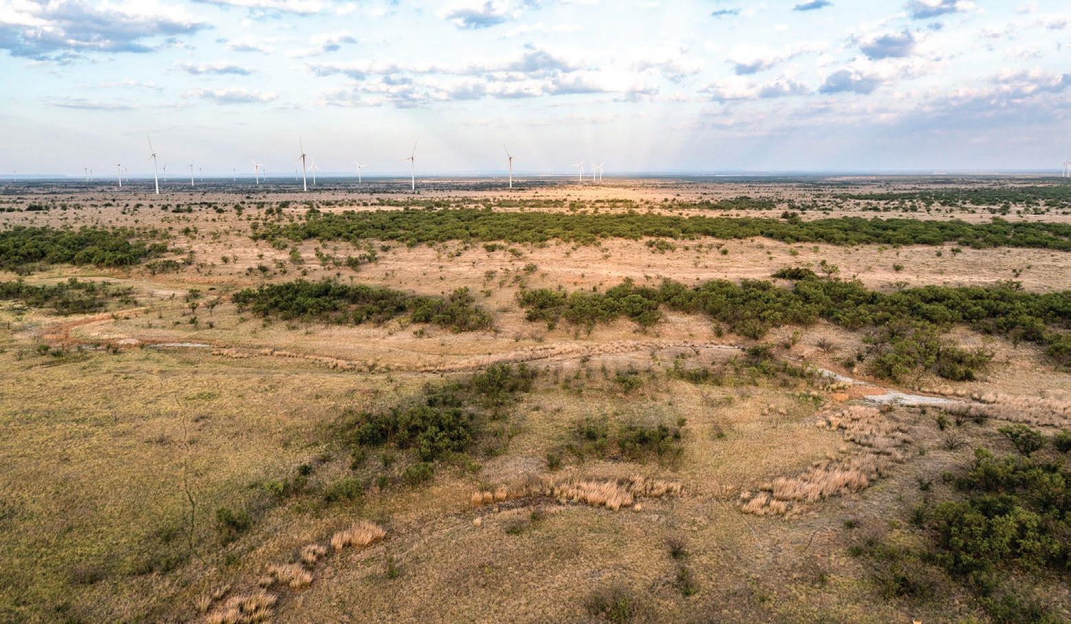 Crooked Tree Ranch by csmandson Issuu