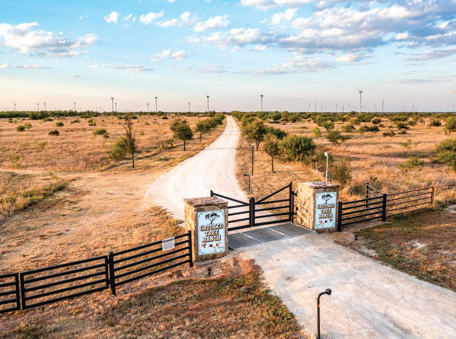 Crooked Tree Ranch by csmandson Issuu