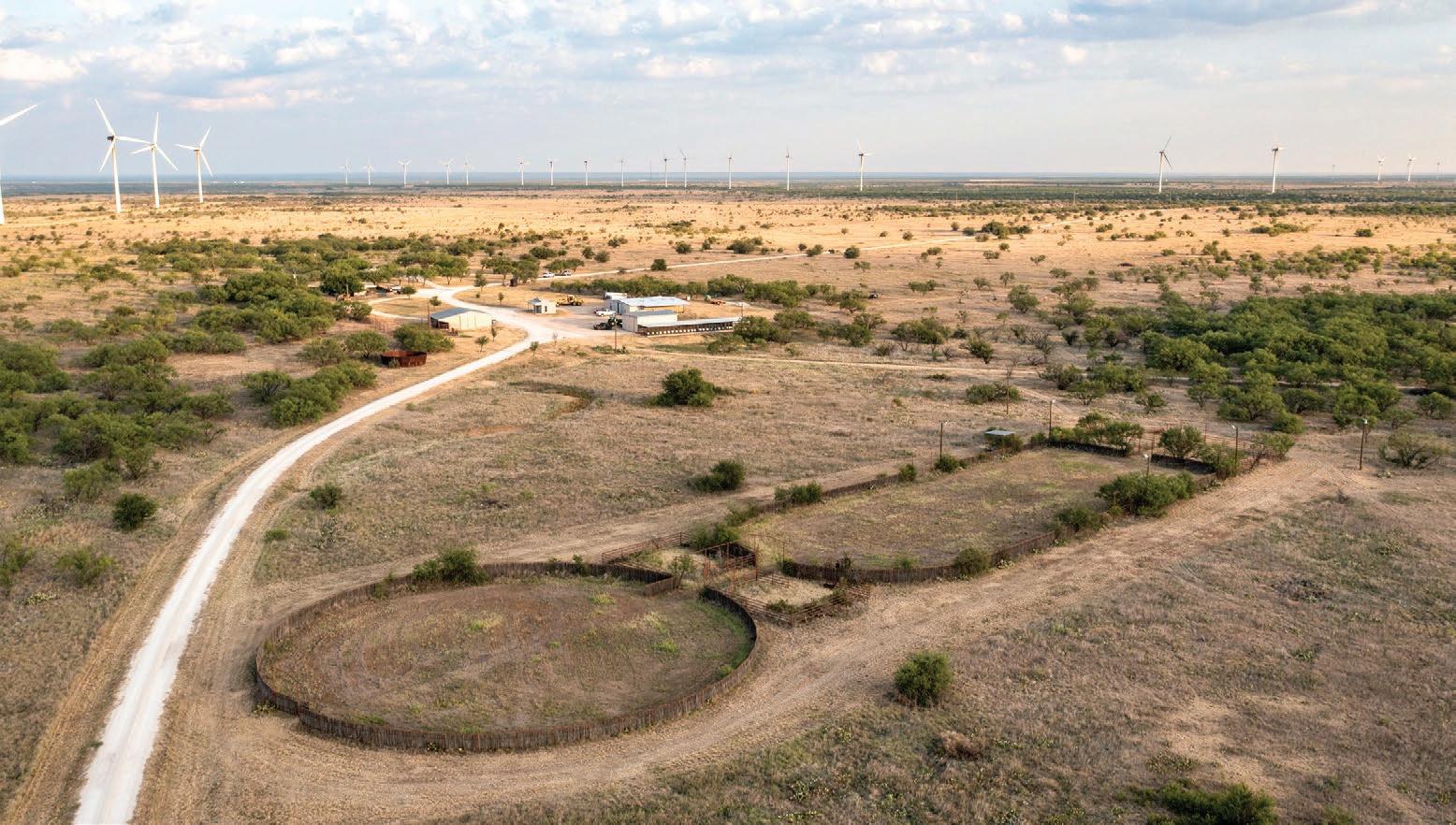 Crooked Tree Ranch by csmandson Issuu