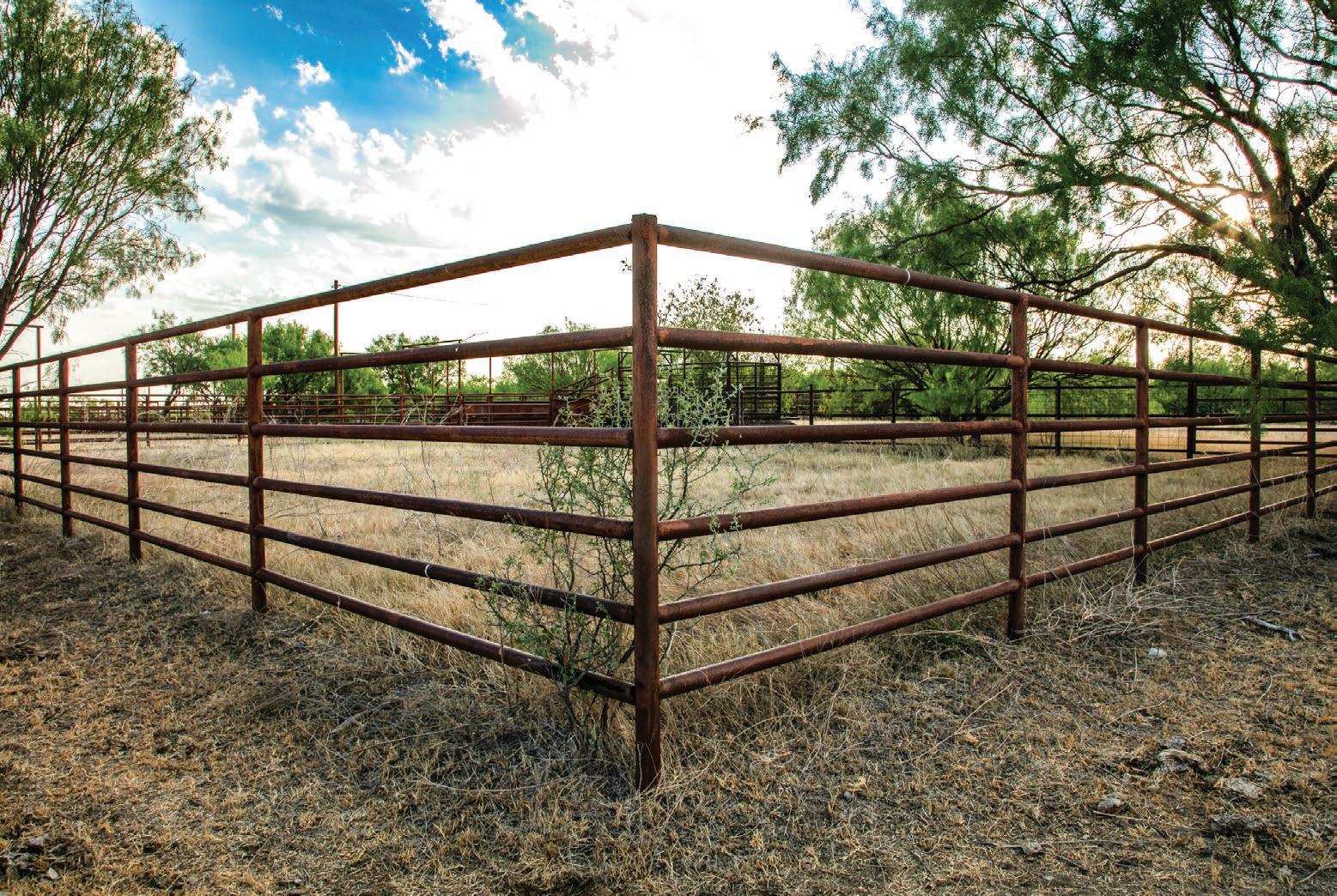 Crooked Tree Ranch by csmandson Issuu