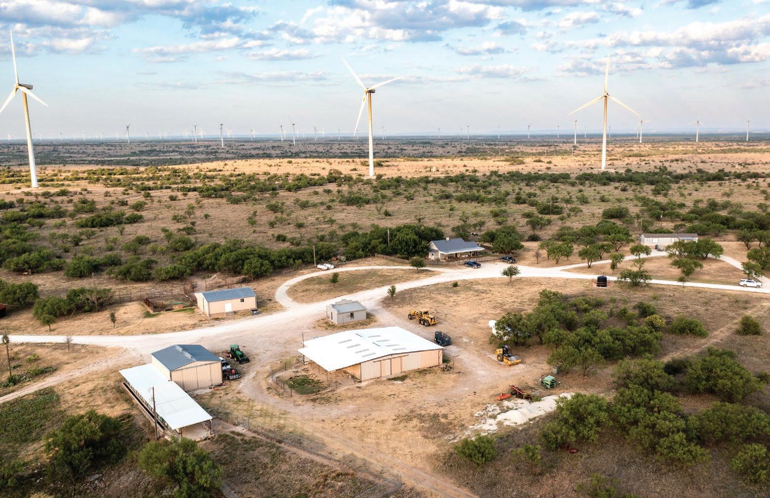 Crooked Tree Ranch by csmandson Issuu