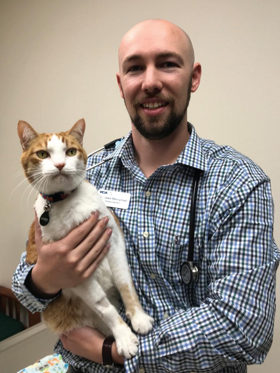 March/Apr 2020 by californiaveterinarian - Issuu