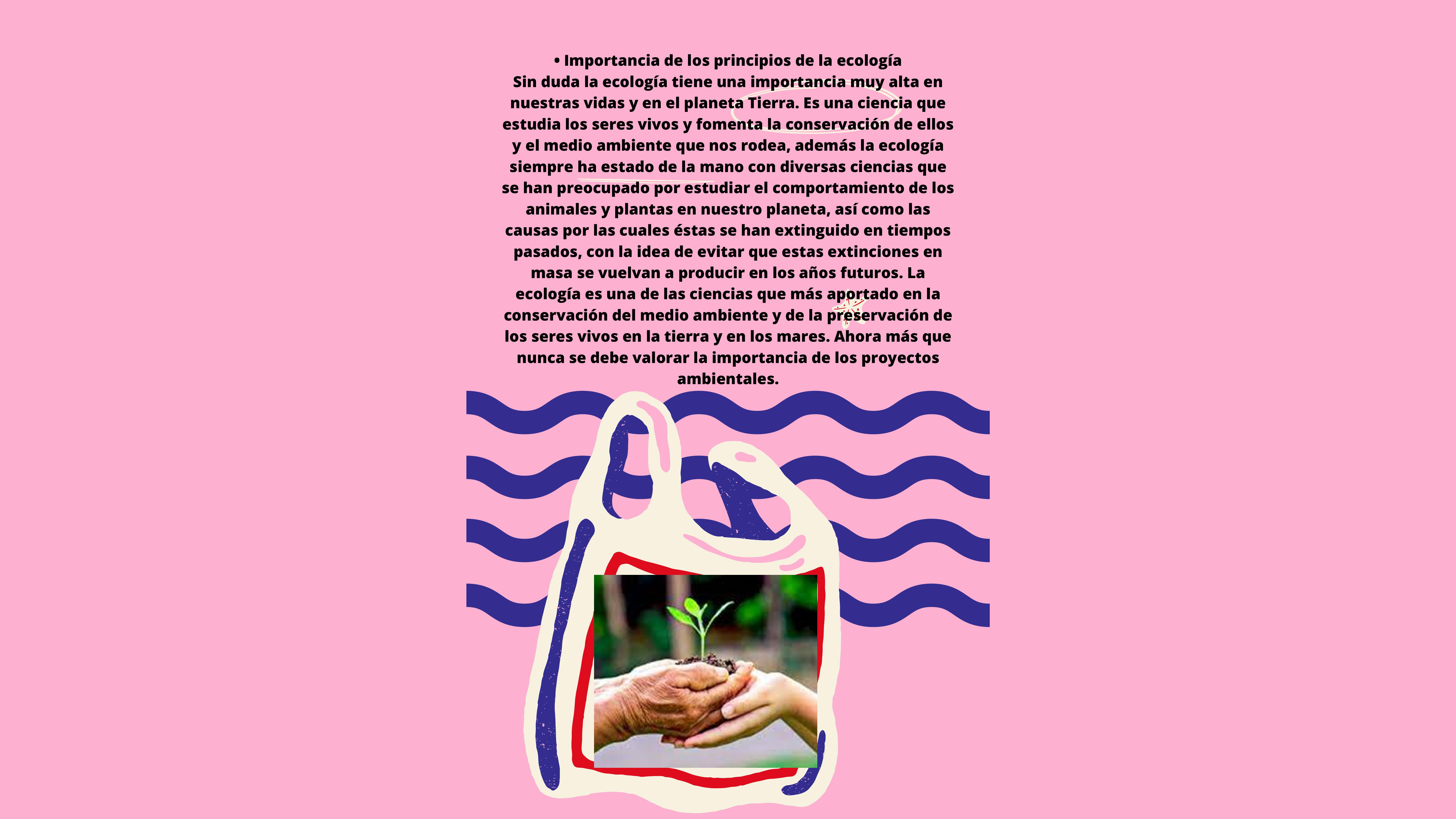 Implementar Un Adecuado Manejo De Los Residuos By 1234889753 Issuu Implementar Un Adecuado Manejo De Los Residuos By 1234889753 Issuu