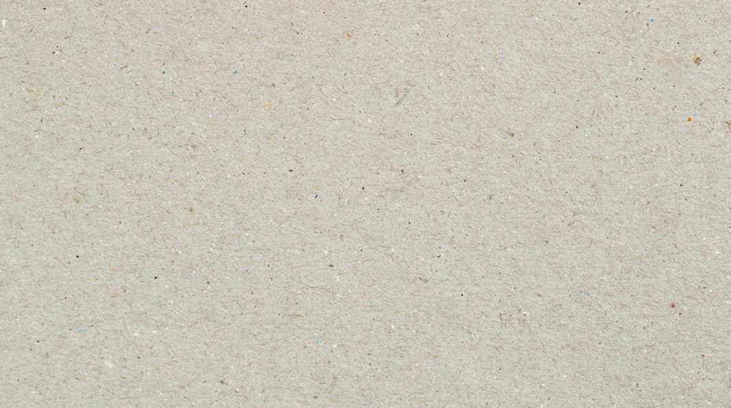 Cover for CEO STATEMENT