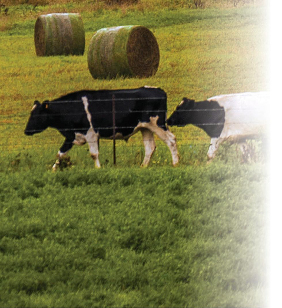 Cover for CAN DIETARY SHIFTS HELP THE AGRICULTURAL INDUSTRY CREATE A SUSTAINABLE FOOD FUTURE?