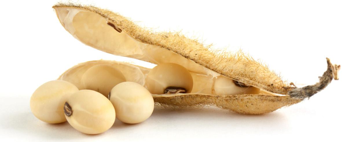 Cover for Farm Bureau Press