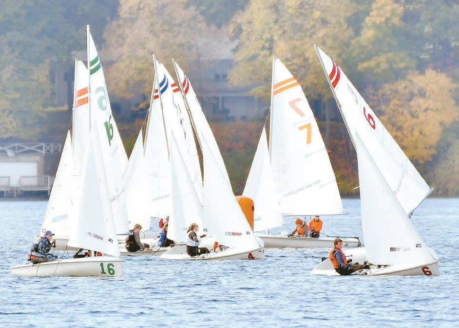 Cover for Parks & Nature