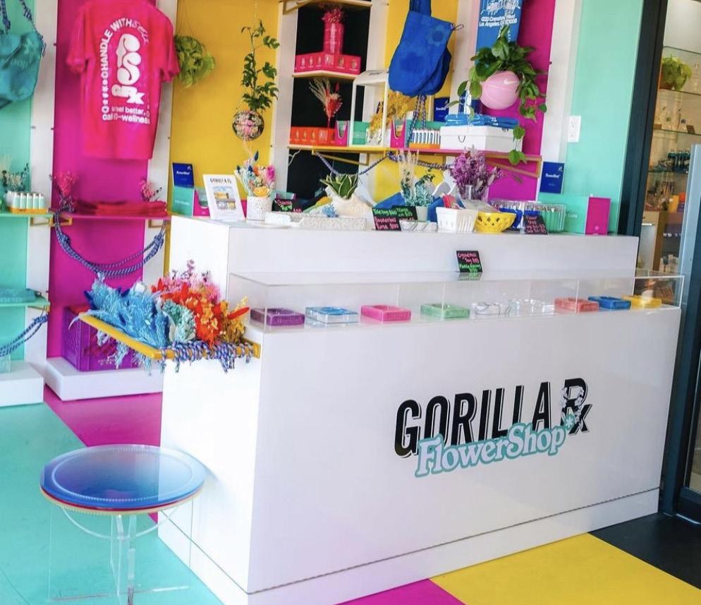 GORILLA UNIVERSITY BROCHURE by Kika Keith Issuu