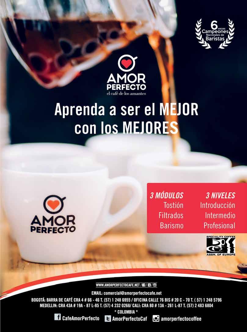 Disfruta de los mejores cafés en casa con la cafetera L'Or Barista, en  oferta casi al 50% de su precio original en la web de L'Or