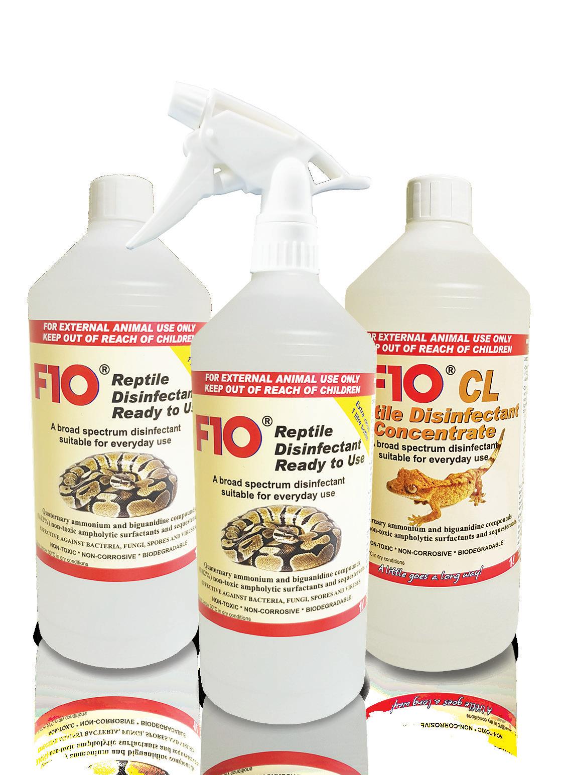 Cover for the Tadpole Doctor