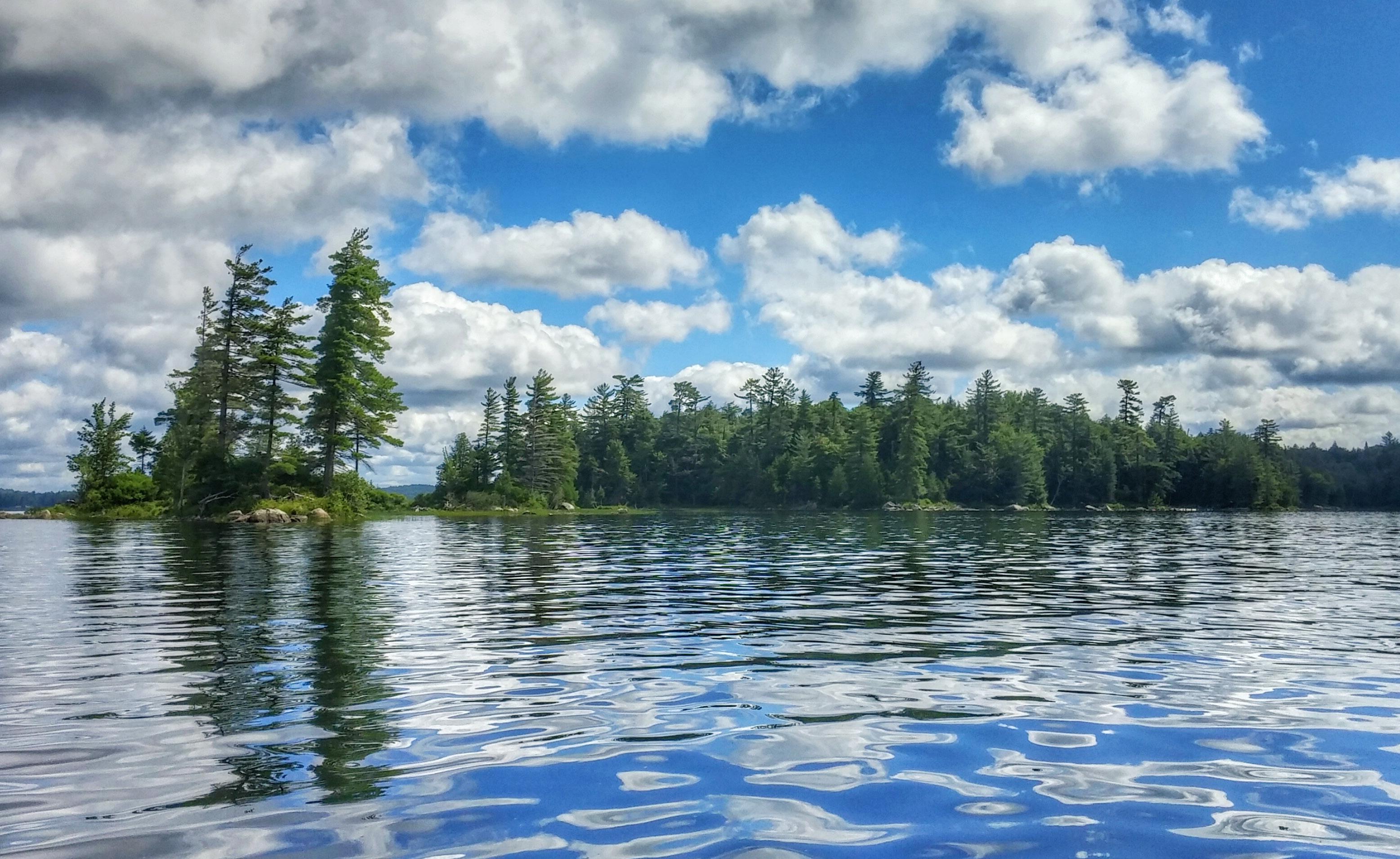 Cover for The Ultimate 5