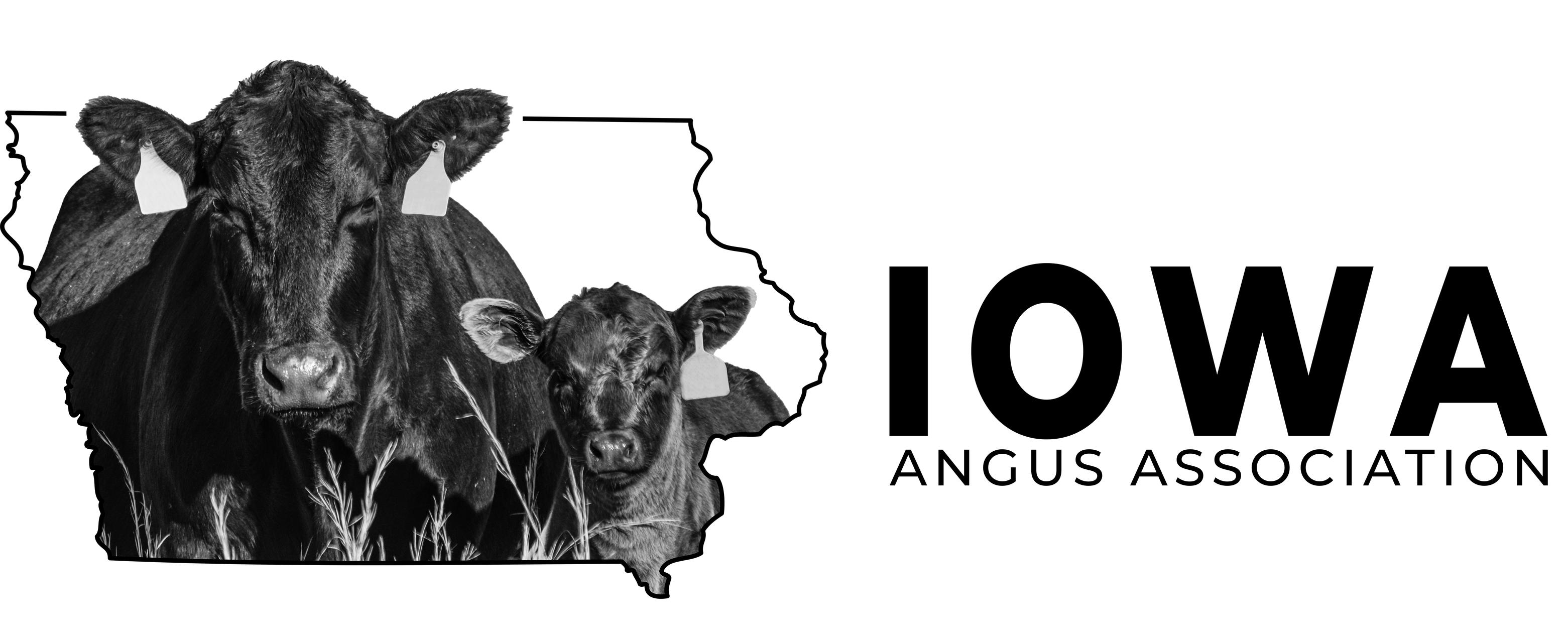 2023 Iowa Angus Bull Test Sale by Iowa Angus Association Issuu