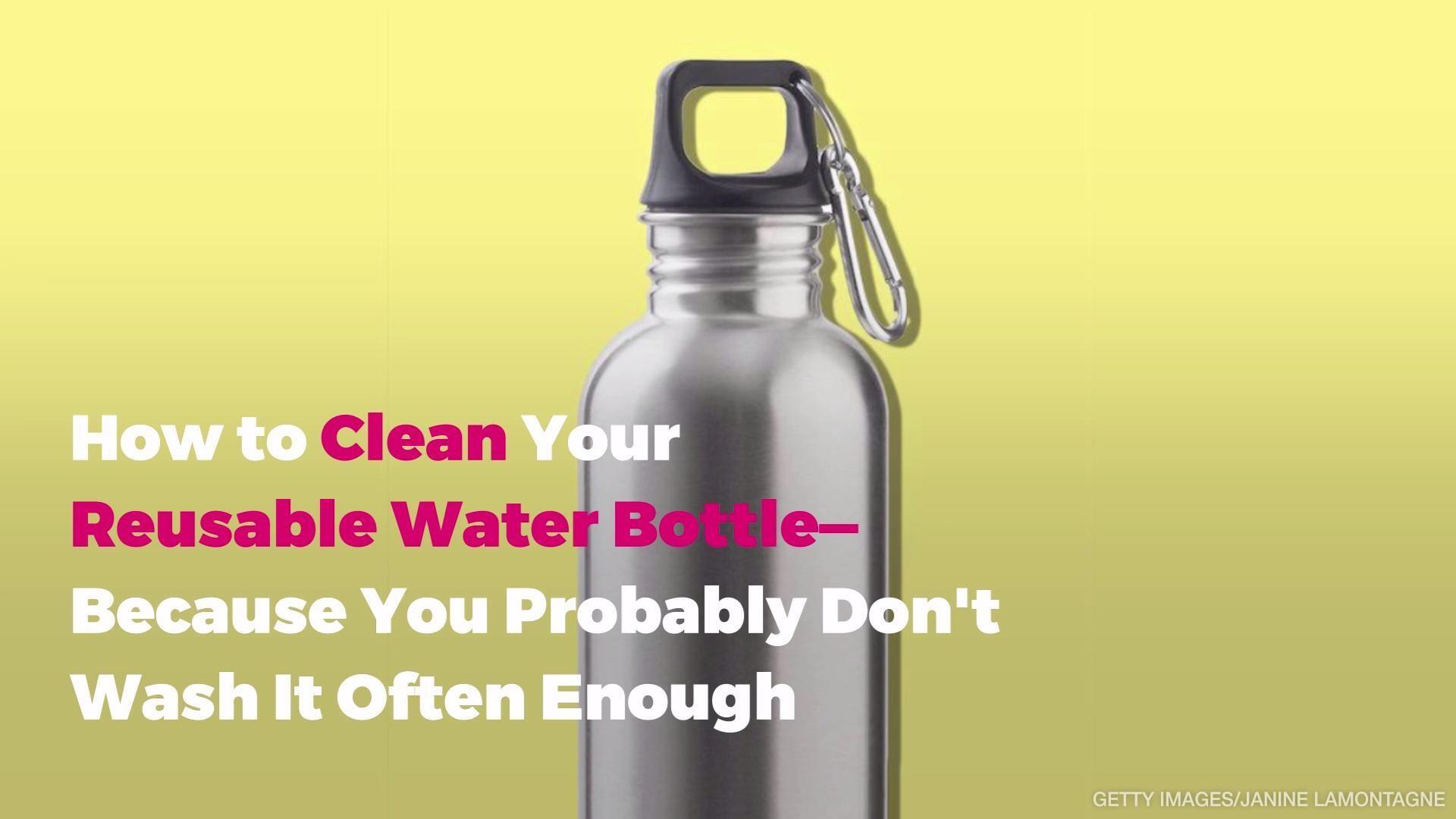 How To Disinfect Reusable Water Bottles? by AmericanLifeguardManual Issuu