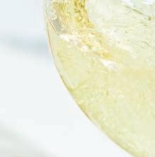Seasonal Sips