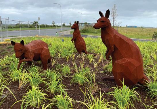 Wallabies Provide a Warm Welcome