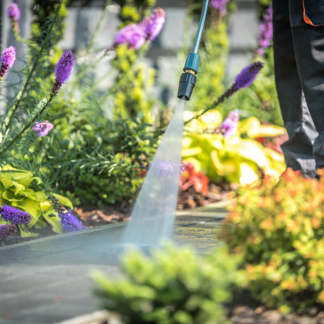 Transform Your Garden With Professional Cleaning Services by