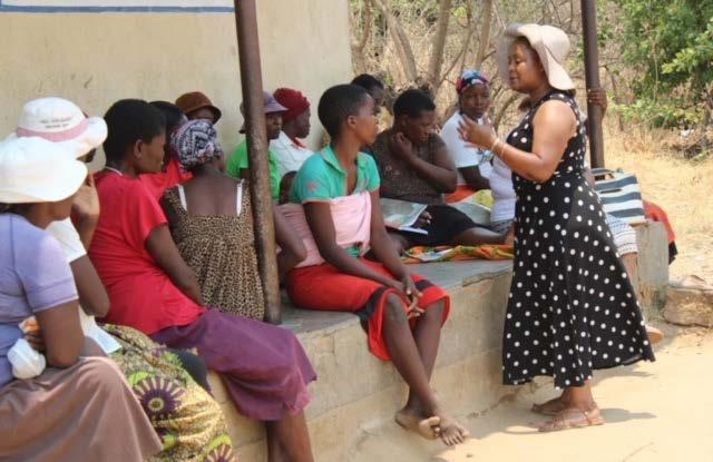 GRADUATE SUPPORT NETWORKS in ZIMBABWE