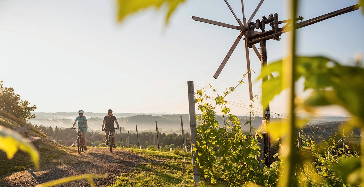 Cover for Wussten Sie, dass …