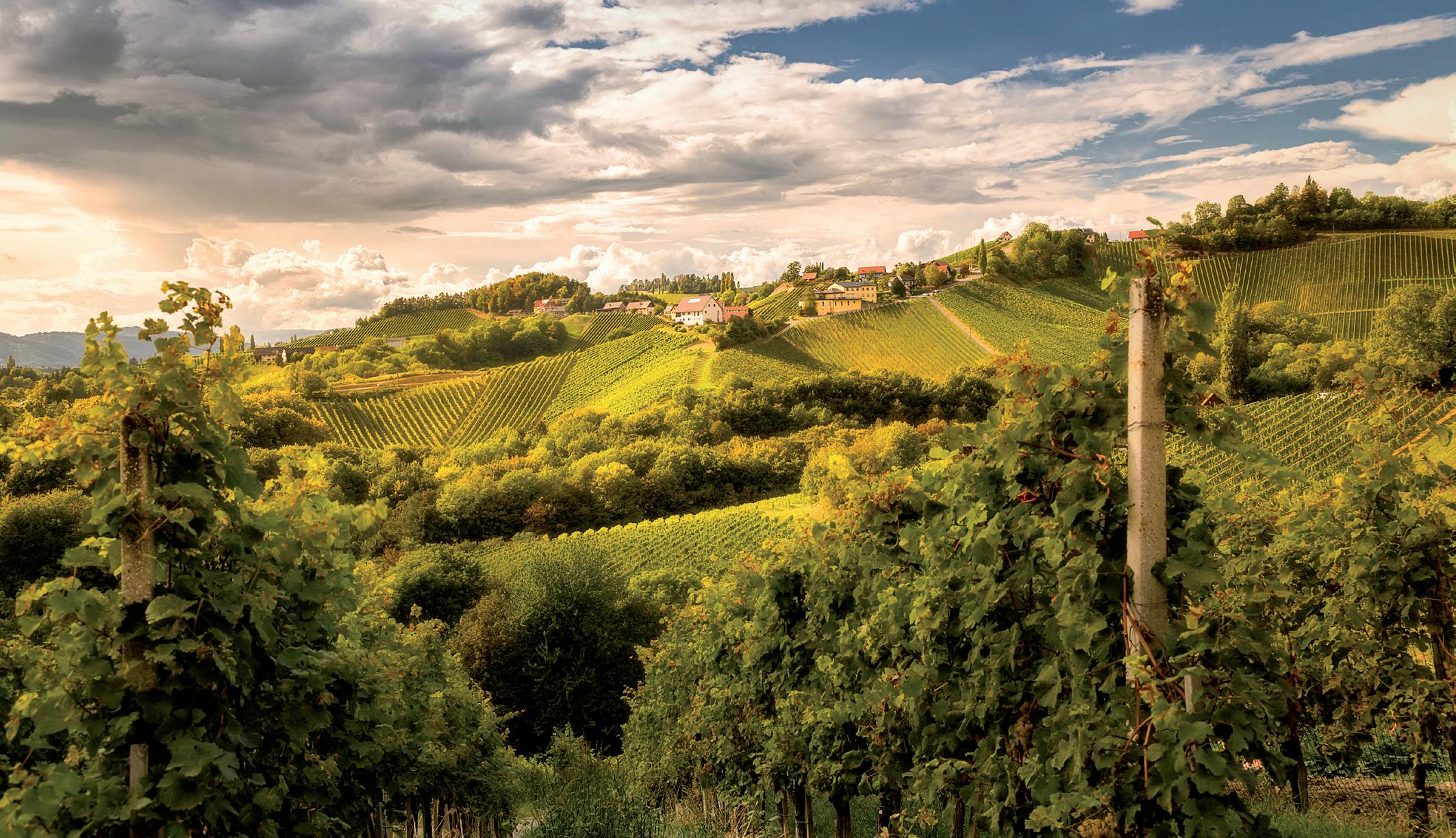 Cover for Mehr als nur ein süßes Früchtchen