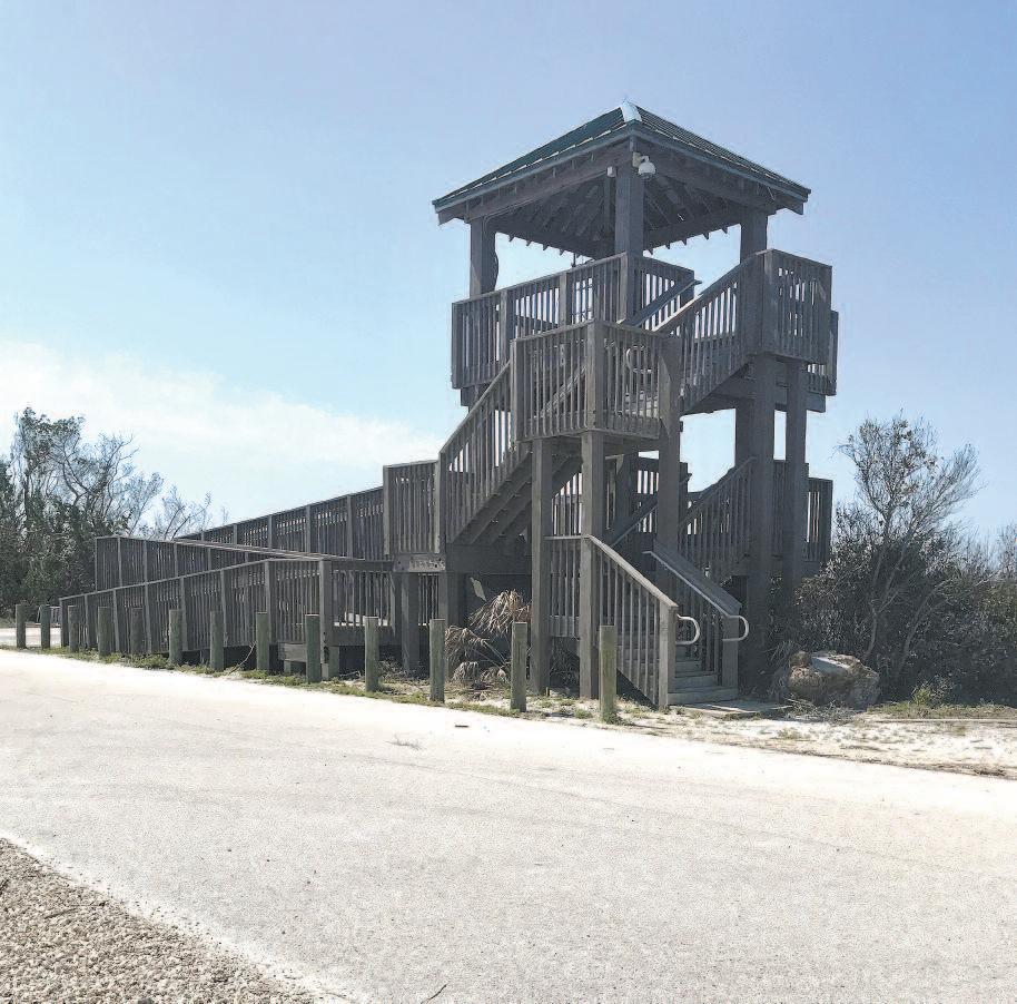 Cover for Refuge announces reopening for Wildlife Drive, visitor center