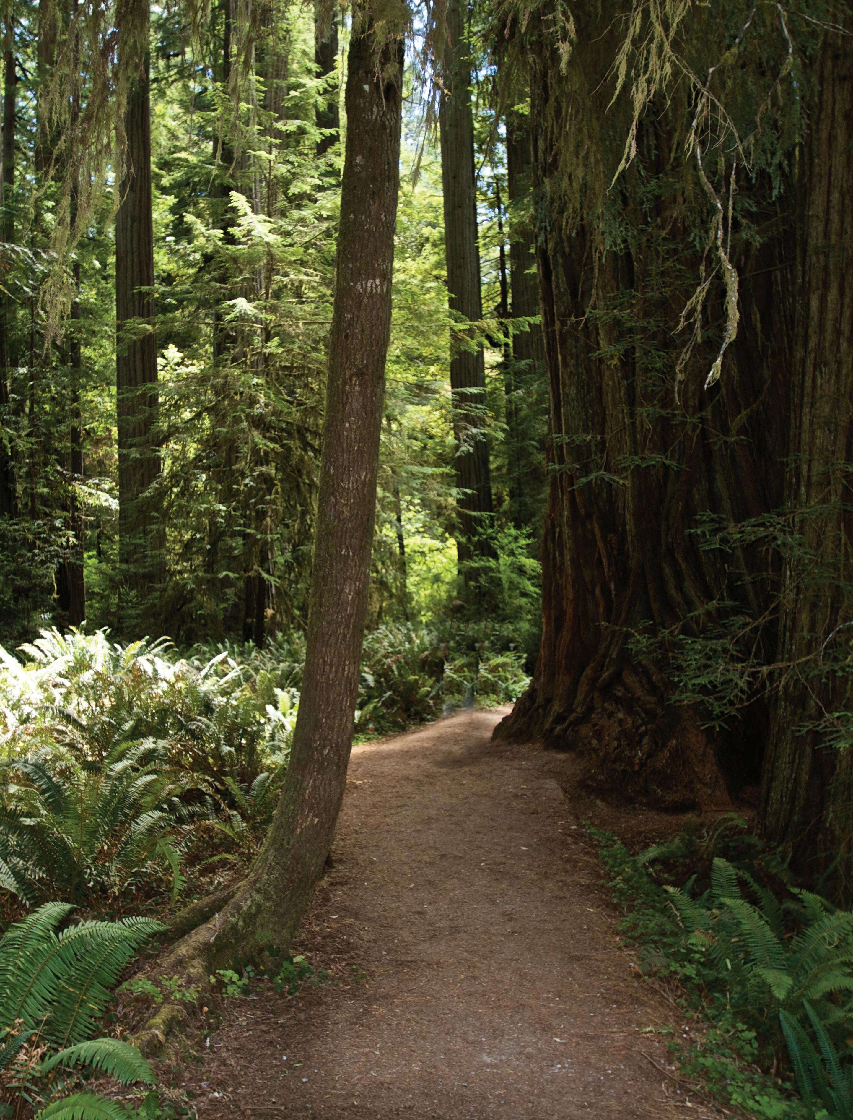 Heritage Wood Designs 2023 by Heritage Amish Furniture Issuu