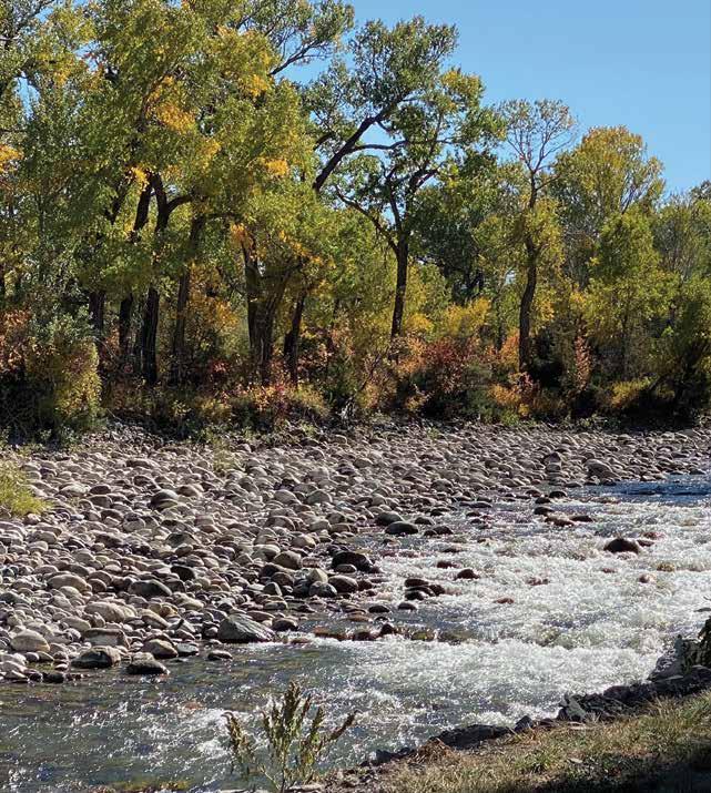 Spring Creek Campground & Trout Ranch by AGS/Texas Advertising Issuu