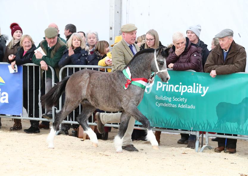 ROYAL WELSH WINTER FAIR Issuu