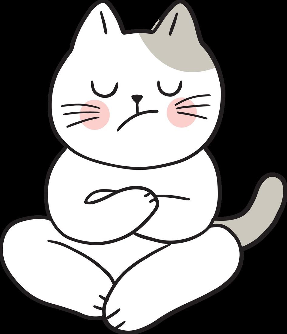 Why You Should Adopt a Cat in Houston by Garage Gym Cats Issuu