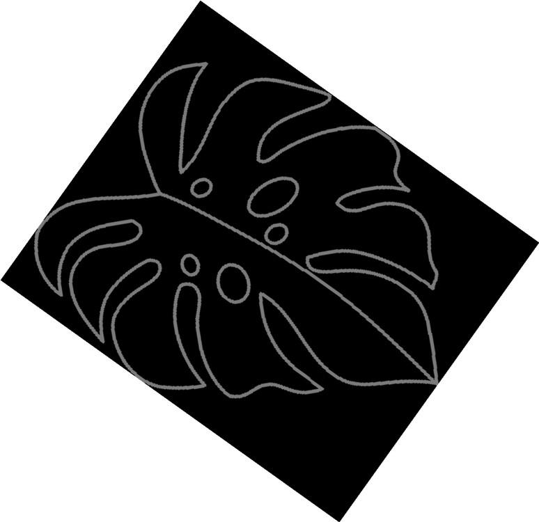 What Types of Beers Do California Beer Distributors Carry? by JORDANO’S