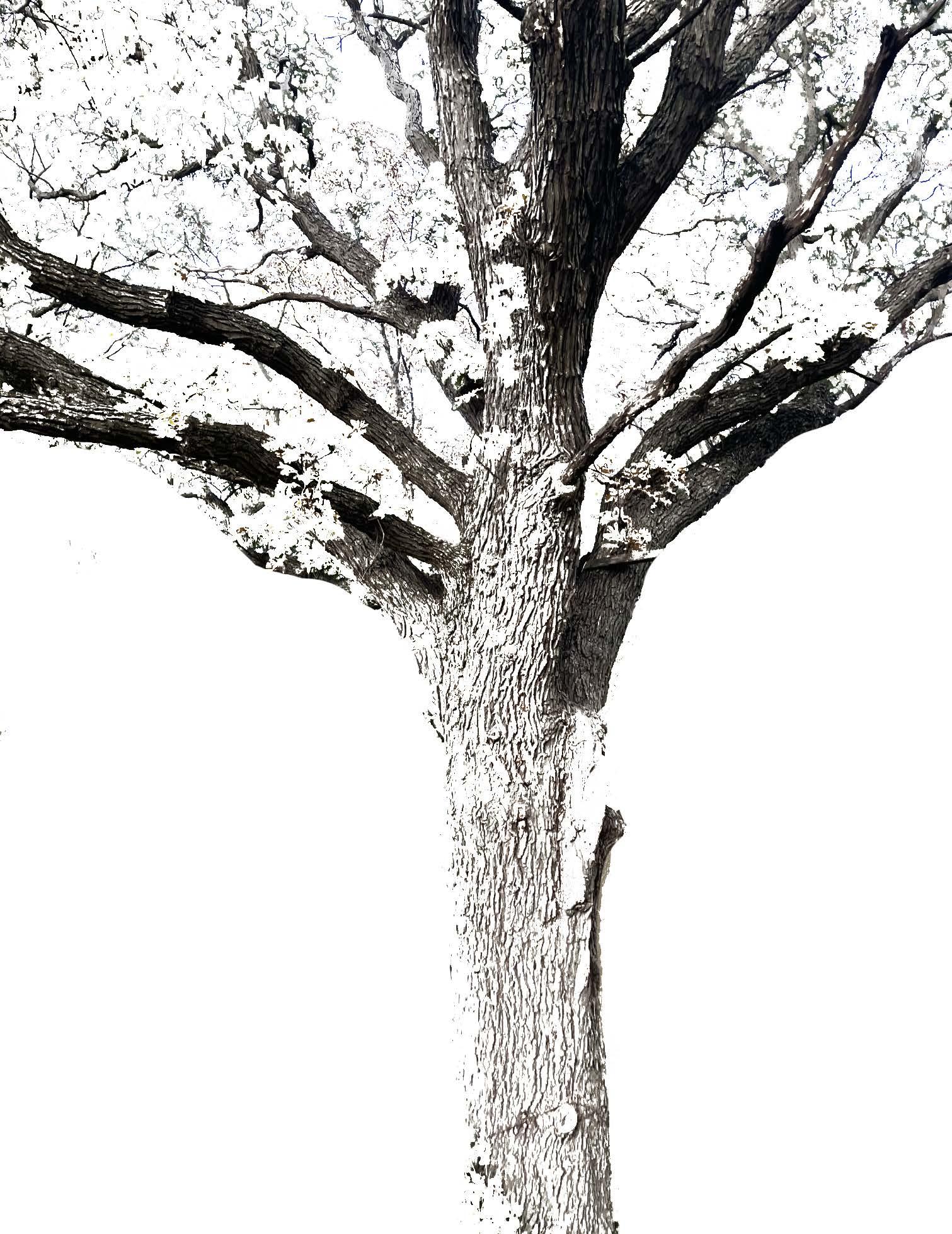 Ethan Sall by ethansall - Issuu