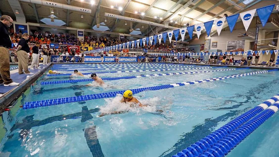 2023 Midwest Regional Swim Meet Fan Guide by MYAS/WSS Issuu