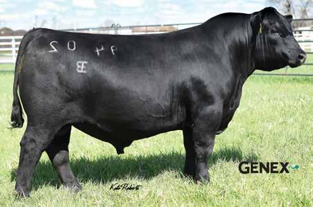 NICENESS GARVEY　M 4469129-eyeglasses-angle-view.