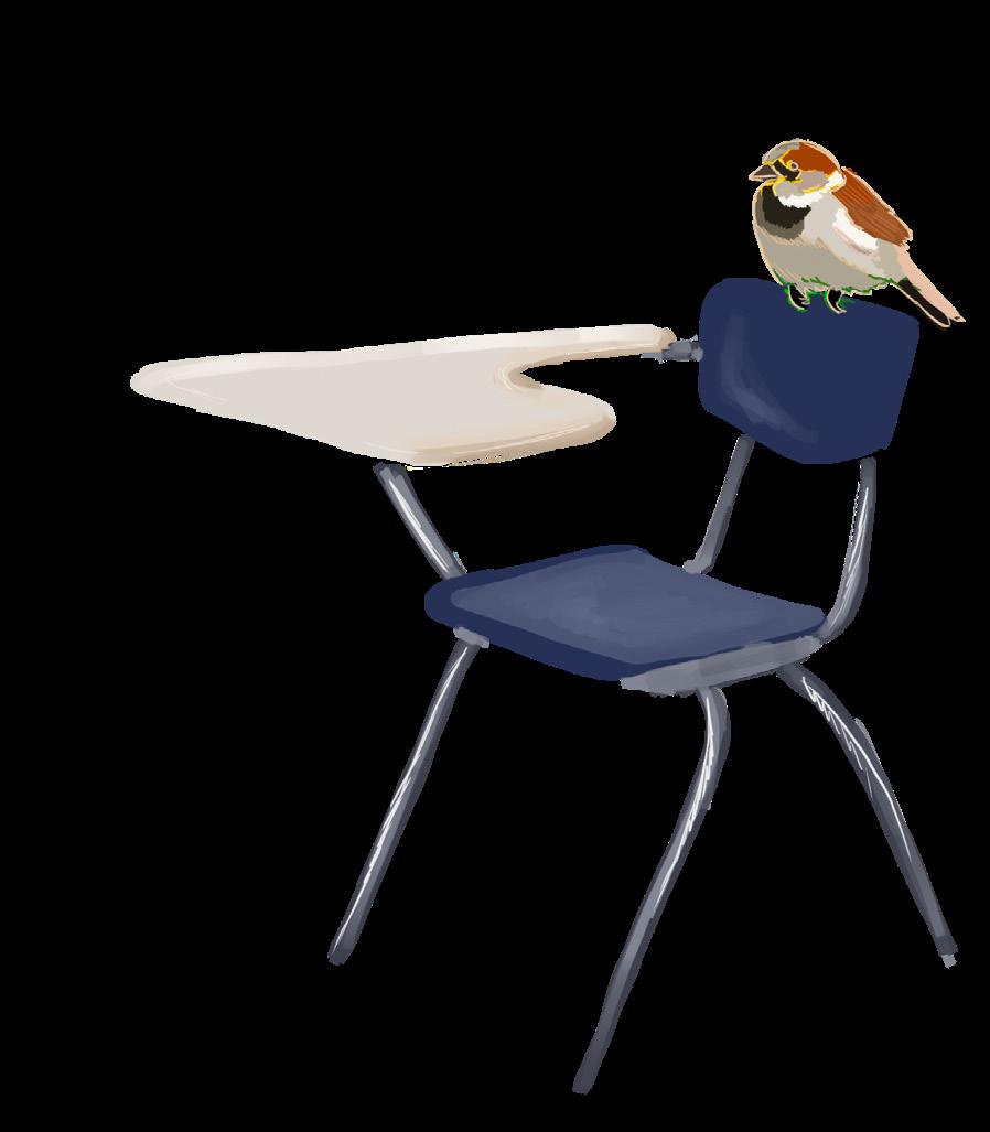 Cover for Protecting the Pojo Perch®