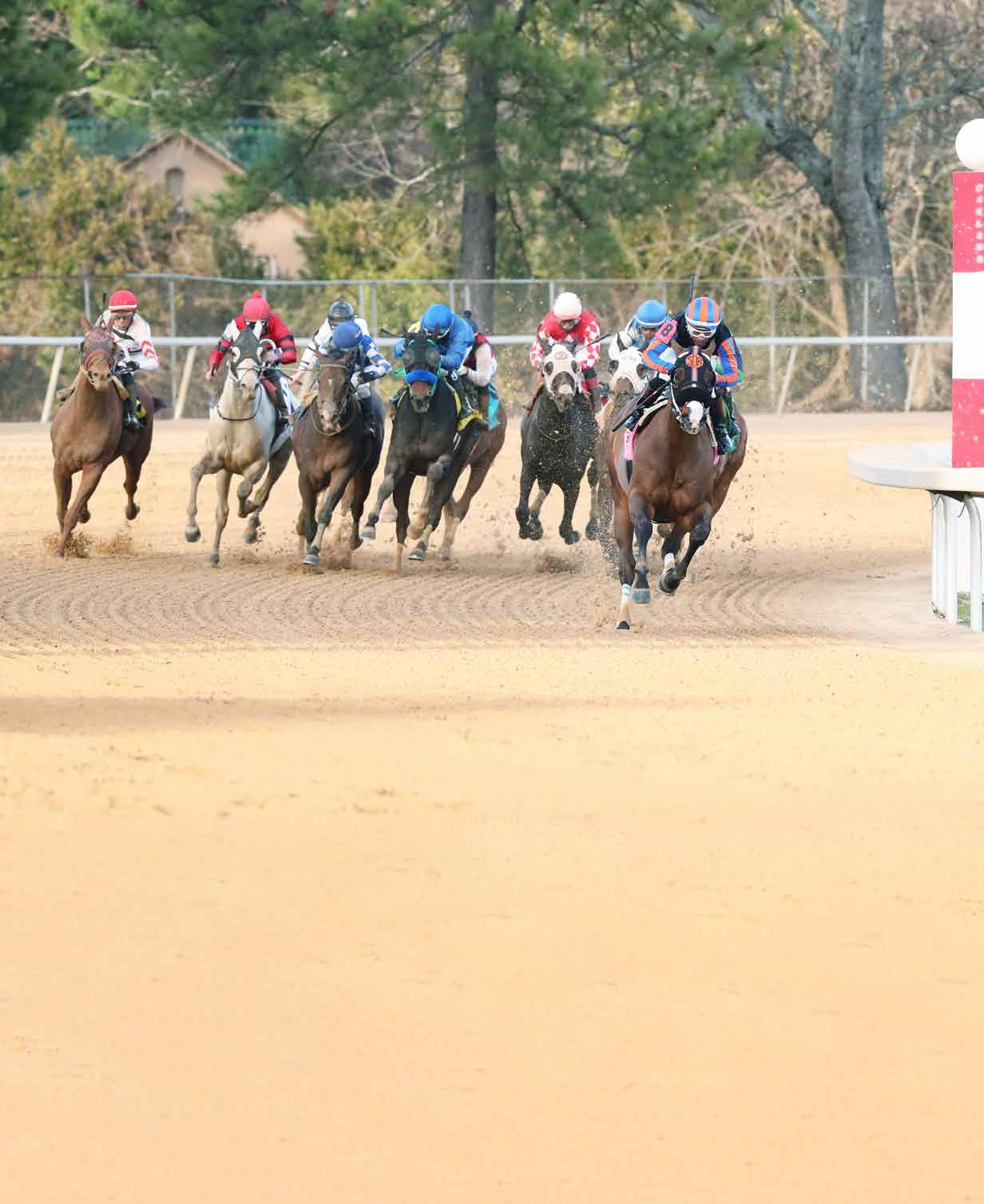 Funny Derby Day Louisville Kentucky Style Horse Racing Meaningful