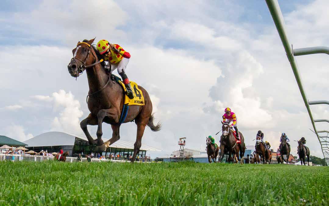 Funny Derby Day Louisville Kentucky Style Horse Racing Meaningful