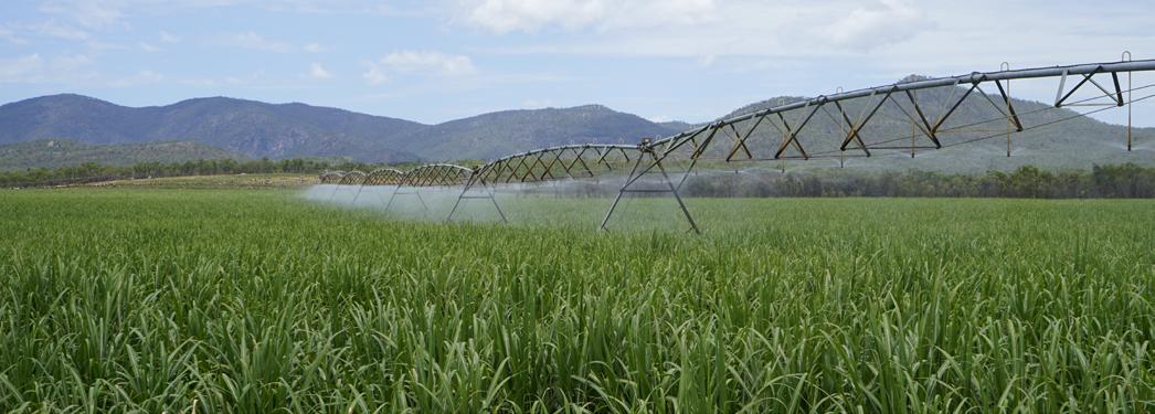 IRRIGATION PRICING ARRANGEMENTS